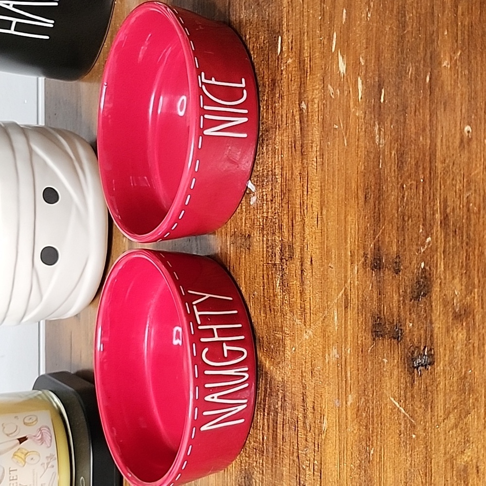 RAE DUNN NAUGHTY AND NICE PET BOWLS
